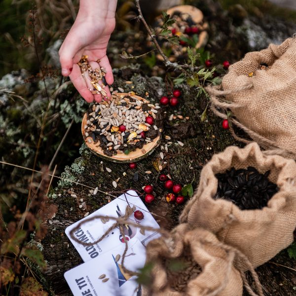 Make A Pizza For The Birds Kit - Crafty Inventors