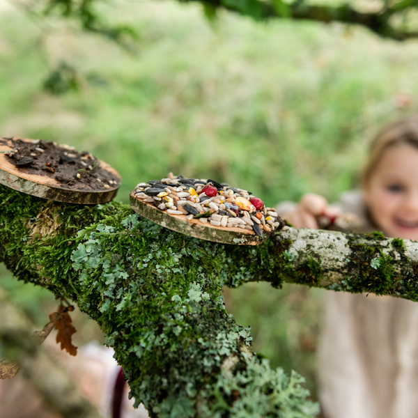 Make A Pizza For The Birds Kit - Crafty Inventors