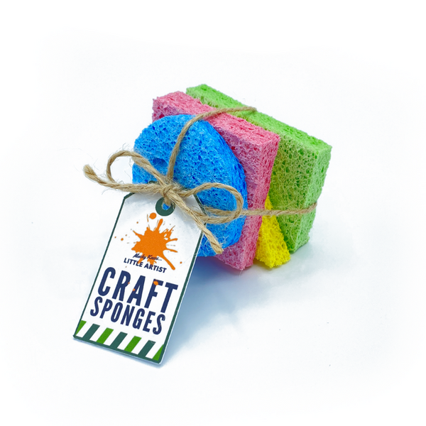 Biodegradable Craft Sponges: Pack of 4 - Crafty Inventors