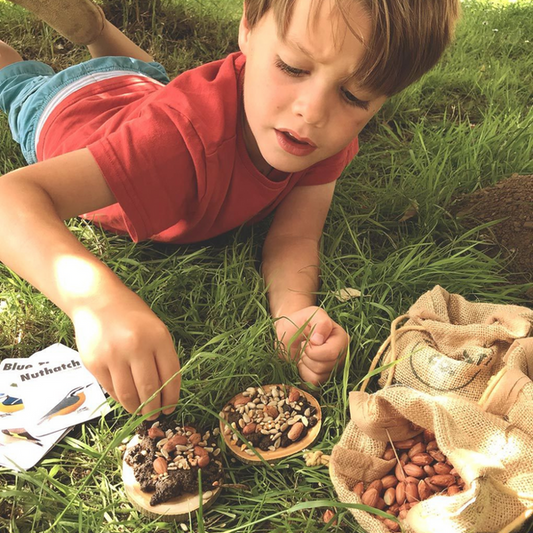 Make A Pizza For The Birds Kit - Crafty Inventors